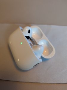PXL_20231014_054900633.jpg