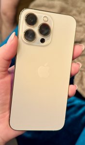 IMG_2462.jpeg