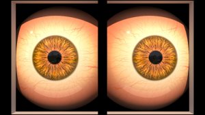 halloween-eyes-2023-1.jpg