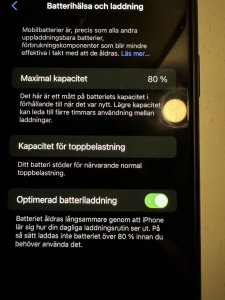 IMG_3729.jpeg