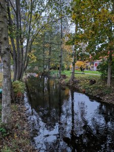 PXL_20231027_152814590.jpg