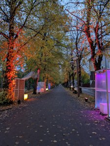 PXL_20231027_154133256.jpg