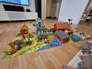 20231029_094333.jpg