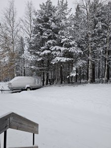 20231102_152144.jpg