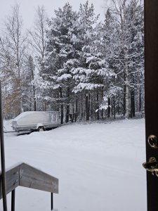 20231102_154312.jpg