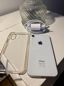 IMG_0008.jpeg