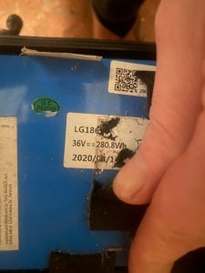 IMG_4878.jpeg