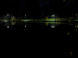 PXL_20231109_171030614.jpg