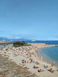 DSC_3111.JPG