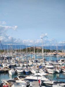 DSC_3114.JPG