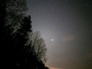 PXL_20231111_191018344.NIGHT~2.jpg