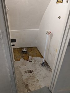 PXL_20231115_115253231.MP.jpg