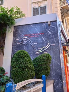 DSC_3134.JPG