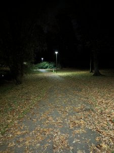 PXL_20231115_185123629.jpg