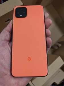PXL_20231118_163920338.jpg