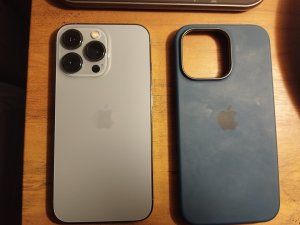 IMG_20231120_174310.jpg