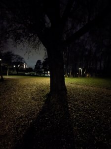 PXL_20231121_181220163.jpg