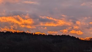 PXL_20231122_072236069~2.jpg