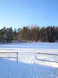 20231125_122257.JPG