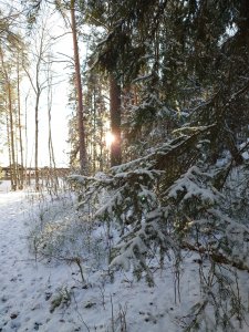 20231125_122708.JPG