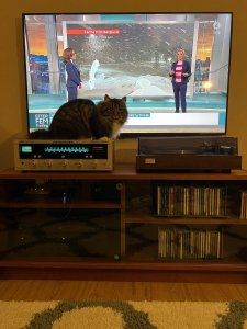 IMG_7847.jpeg