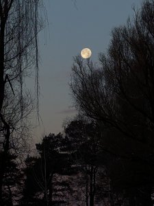 PXL_20231128_073536237.jpg