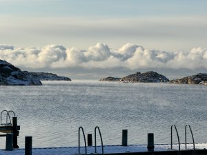IMG_0074.jpeg