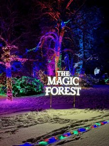 IMG_0588.jpeg