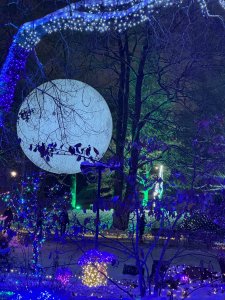 IMG_0175.jpeg