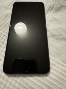 IMG_3890.jpeg