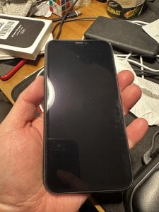 IMG_0564.jpeg