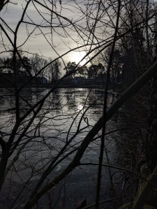 PXL_20231219_120725910.jpg