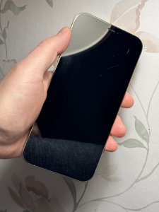 IMG_0037.jpeg