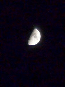 PXL_20231220_174345032.jpg