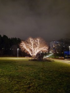 20231218_210316.JPG