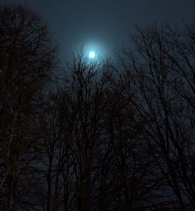 PXL_20231227_185114187.jpg