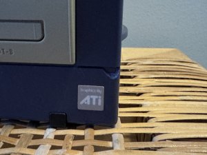 IMG_4544.jpeg