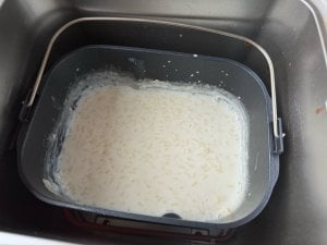 IMG_0580.jpeg