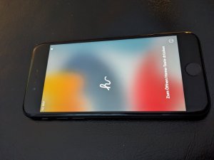 PXL_20240101_125547267.jpg