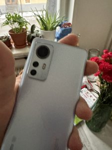 IMG_0013.jpeg