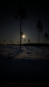 PXL_20231227_150351280.jpg