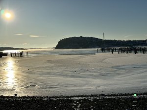 IMG_0110.jpeg