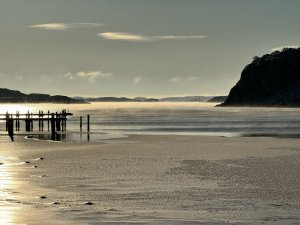 IMG_0111.jpeg