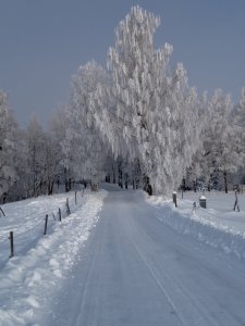 IMG_0086.jpeg
