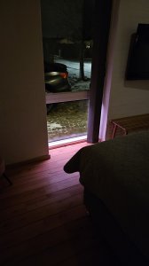 20240112_184930.jpg