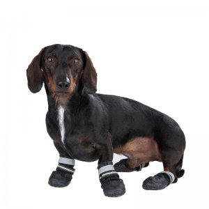 52149_hundeschuhe_xs_fg_0839_ret_3.jpg