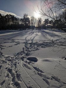 PXL_20240117_114129129.jpg