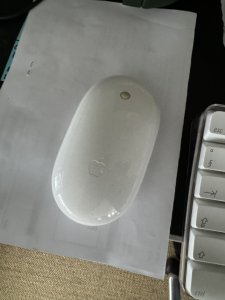 IMG_8399.jpeg