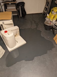 PXL_20240122_045038101.jpg