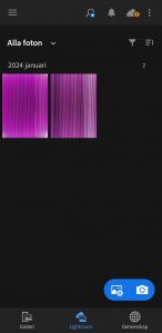 Screenshot_20240124_145053_Lightroom.jpg